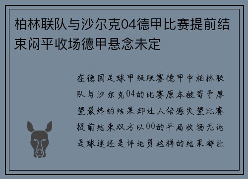 柏林联队与沙尔克04德甲比赛提前结束闷平收场德甲悬念未定