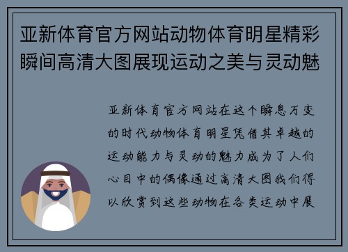 亚新体育官方网站动物体育明星精彩瞬间高清大图展现运动之美与灵动魅力